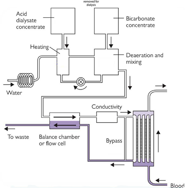 Dialysate pathway
